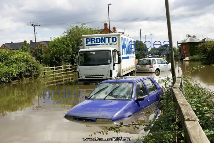 : Flooding - cars and lorries partly submerged on : Flooding - cars and lorries partly submerged on