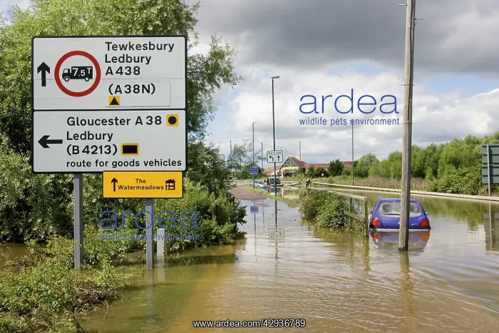  : Flooding - cars partly submerged on flooded road in Newtown