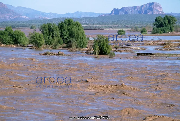 : FLOODING - Gila River, Arizona, USA, January 1993 : FLOODING - Gila River, Arizona, USA, January 1993