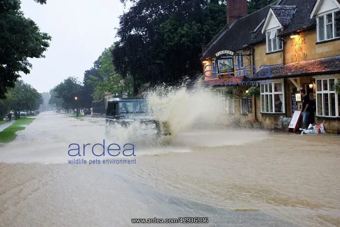 : Flooding - Landrover driving through torrents of : Flooding - Landrover driving through torrents of