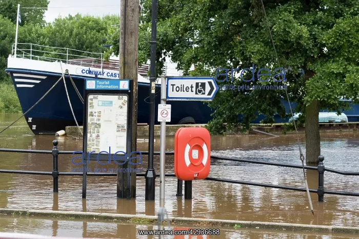 : Flooding of River Severn at Upton upon Severn : Flooding of River Severn at Upton upon Severn