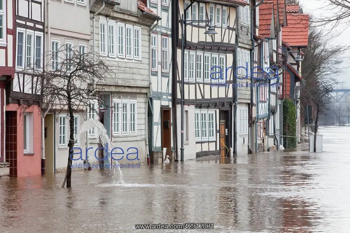  : Flooding through Snowmelt - of Hann