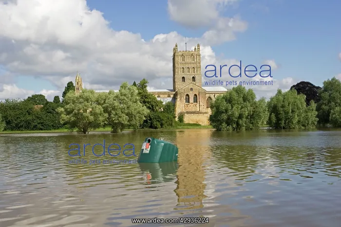 : Flooding - Tewkesbury Abbey inundated by unprecedented : Flooding - Tewkesbury Abbey inundated by unprecedented