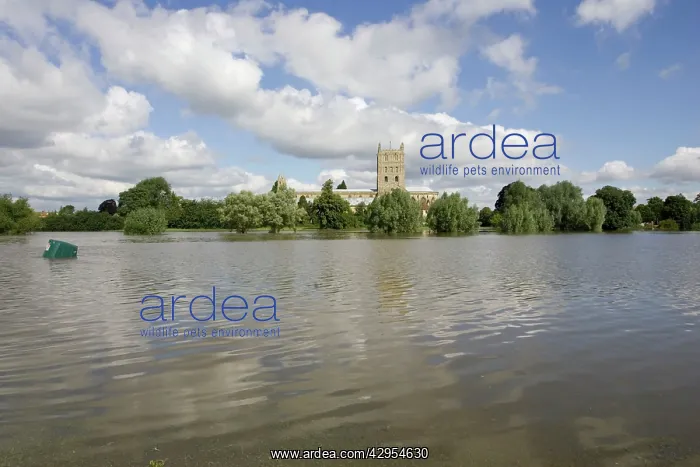 : Flooding - Tewkesbury Abbey inundated by unprecedented : Flooding - Tewkesbury Abbey inundated by unprecedented