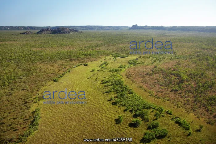: Floodplain near Jabiru, Kakadu National : Floodplain near Jabiru, Kakadu National