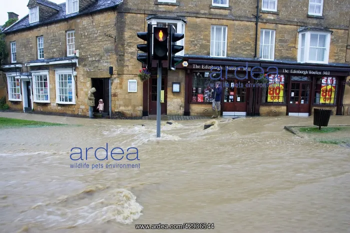 : Floods - Torrents of flood water in high street : Floods - Torrents of flood water in high street