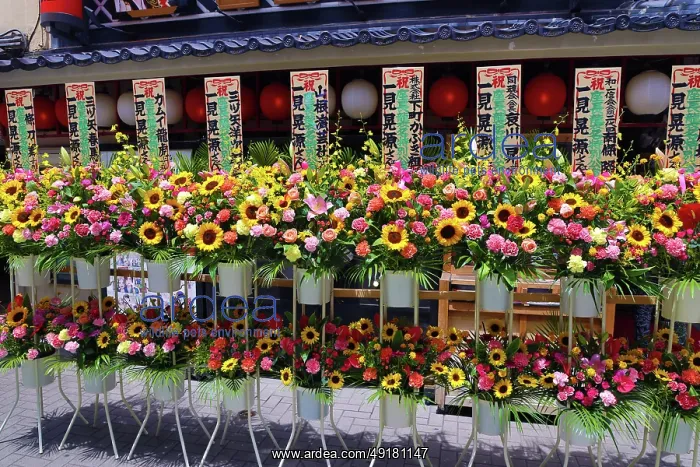  : Floral displays in the street, Asakusa, Tokyo, Japan