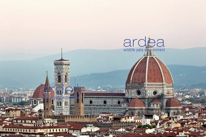 : Florence Cathedral, Basilica di Santa Maria : Florence Cathedral, Basilica di Santa Maria