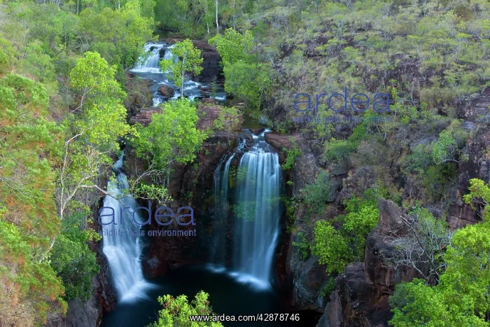 : Florence Falls - picturesque Florence Falls plunges : Florence Falls - picturesque Florence Falls plunges