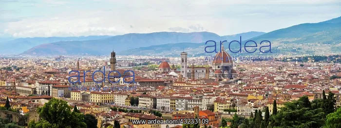: Florence, Tuscany. Panorama of the city : Florence, Tuscany. Panorama of the city