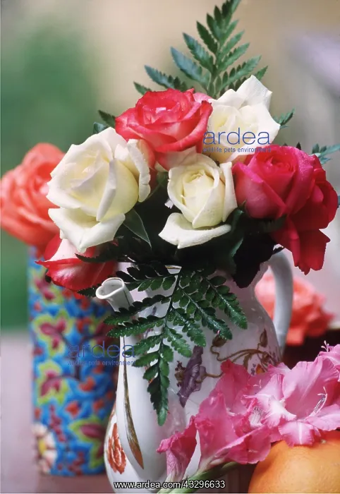 : FLOWER ARRANGEMENT - Roses : FLOWER ARRANGEMENT - Roses