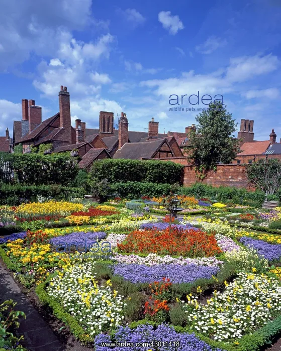 : Flower Garden (where Shakespeare died now a Museum) : Flower Garden (where Shakespeare died now a Museum)