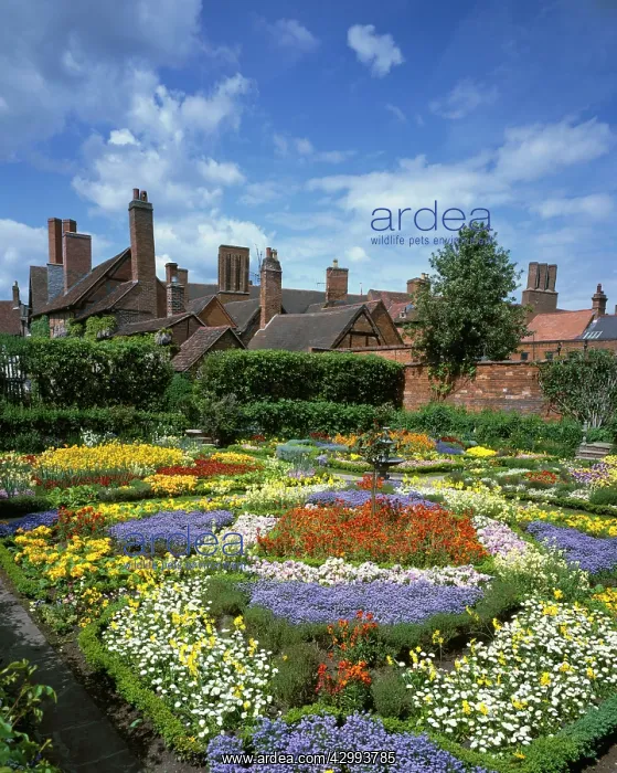 : Flower Gardens - New Place (where Shakespeare died : Flower Gardens - New Place (where Shakespeare died
