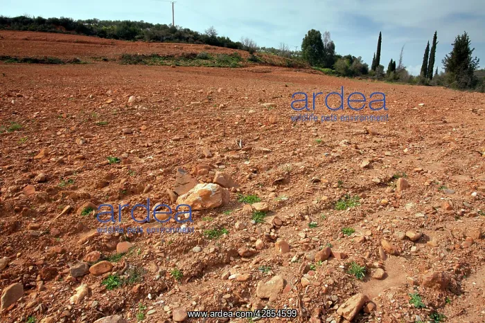 : Flower-rich site - with many endemics - destroyed : Flower-rich site - with many endemics - destroyed
