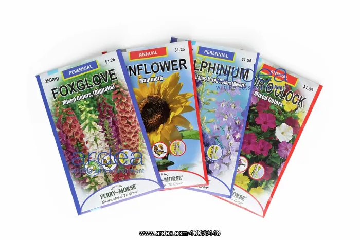 : Flower seeds : Flower seeds