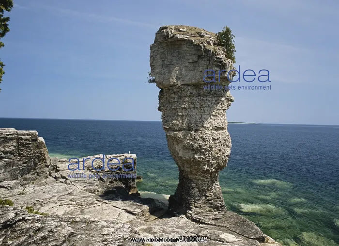: Flowerpot Formation, Ontario : Flowerpot Formation, Ontario