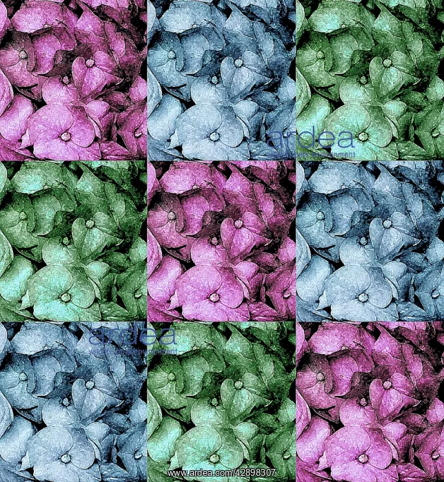  : Flowers - abstract