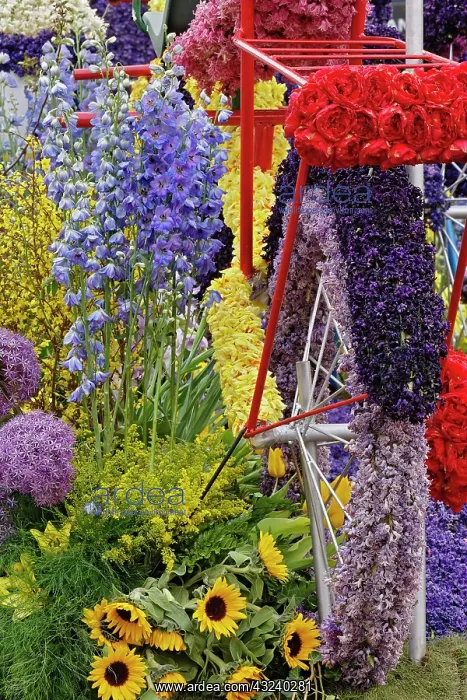 : Flowers on float celebrating Queen's Day : Flowers on float celebrating Queen's Day
