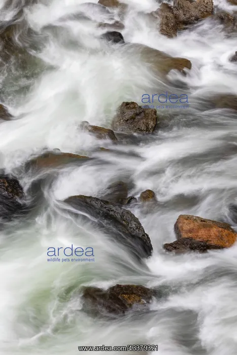 : Flowing water in Firehole River, Yellowstone National : Flowing water in Firehole River, Yellowstone National