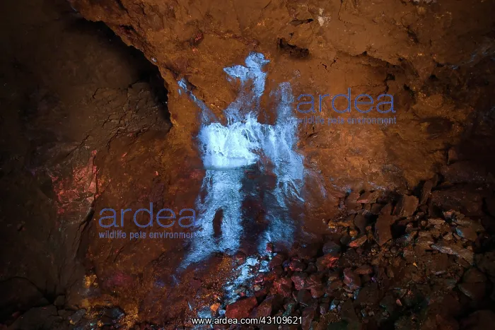  : Fluorescent Hydrozincite
