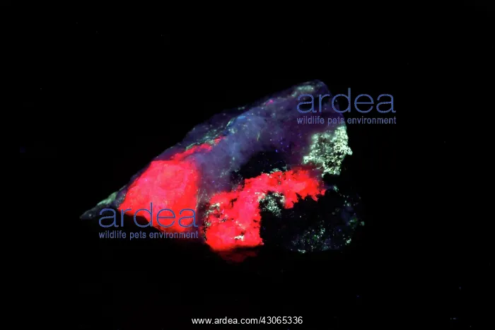 : Fluorescent Illimaussaq Complex : Fluorescent Illimaussaq Complex