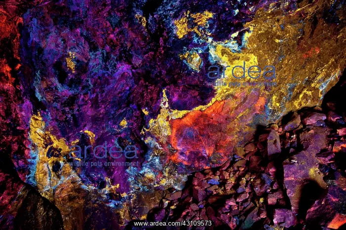 : Mine with Fluorescent Minerals (1 of 2) : Mine with Fluorescent Minerals (1 of 2)
