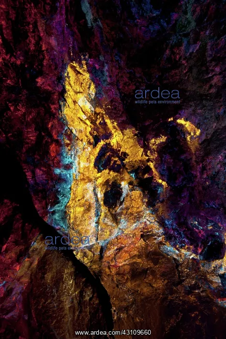 : Mine with Fluorescent Minerals (1 of 2) : Mine with Fluorescent Minerals (1 of 2)