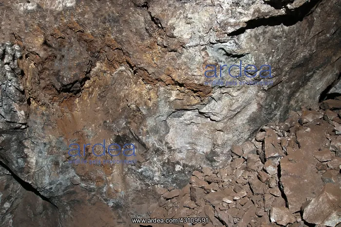 : Mine with Fluorescent Minerals (2 of 2) : Mine with Fluorescent Minerals (2 of 2)