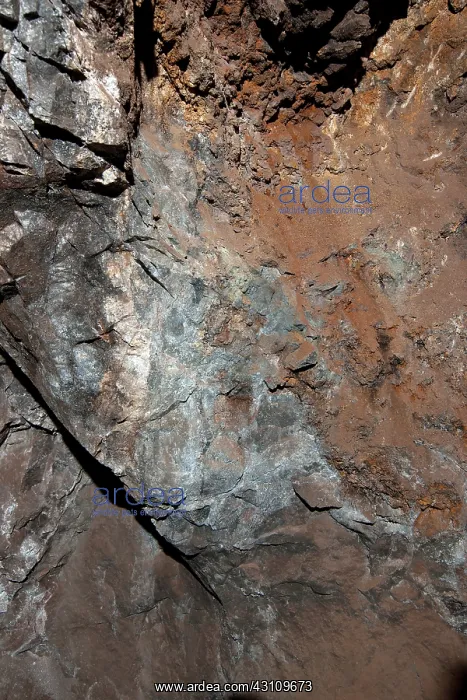: Mine with Fluorescent Minerals (2 of 2) : Mine with Fluorescent Minerals (2 of 2)