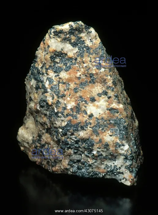 : Fluorescent Minerals : Fluorescent Minerals