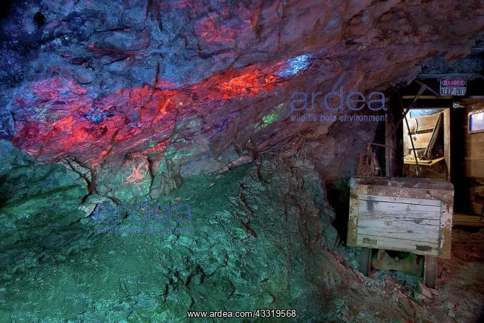 : Mine with Fluorescent Minerals : Mine with Fluorescent Minerals