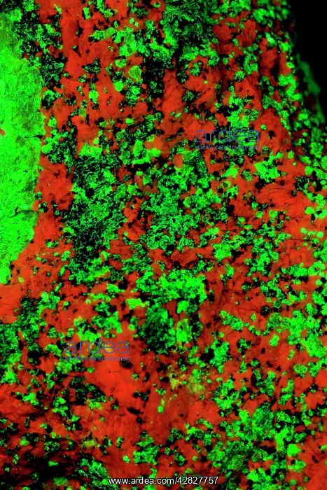  : Fluorescent Minerals Willemite and Calcite