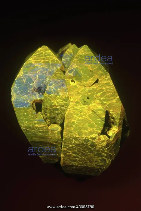 : Fluorescing Zircon : Fluorescing Zircon