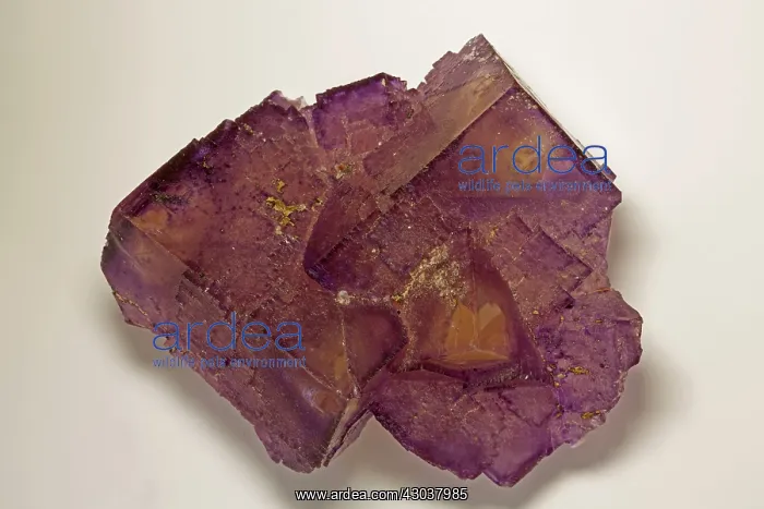: Fluorite : Fluorite