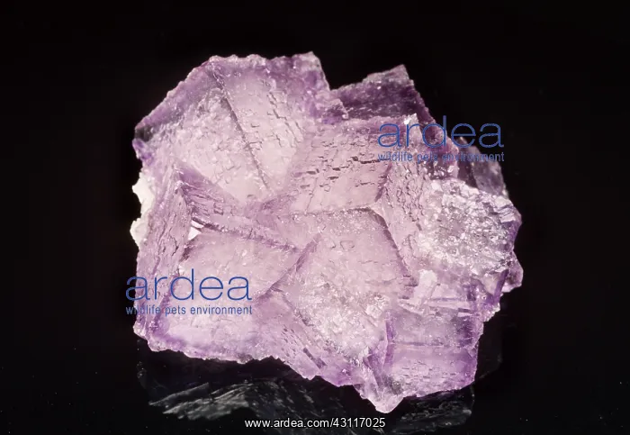 : Fluorite. The mineral fluorite : Fluorite. The mineral fluorite