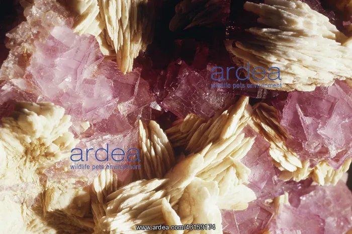 : Fluorite, the mineral form of calcium fluoride (CaF2), from Oriedo, Spain : Fluorite, the mineral form of calcium fluoride (CaF2), from Oriedo, Spain