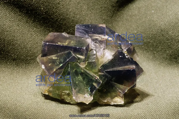 : Fluorite, the mineral form of calcium fluoride (CaF2) from England : Fluorite, the mineral form of calcium fluoride (CaF2) from England