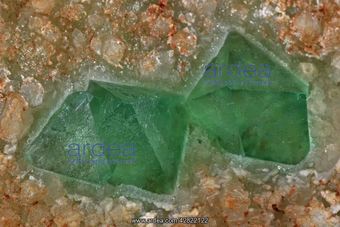 : Fluorite (CaF2-calcium fluoride) fluorite (green) : Fluorite (CaF2-calcium fluoride) fluorite (green)