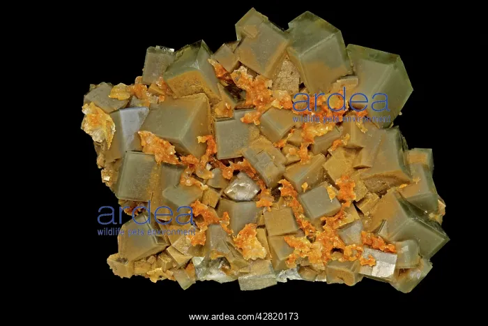: Fluorite (CaF2-calcium fluoride) fluorite (purple) : Fluorite (CaF2-calcium fluoride) fluorite (purple)