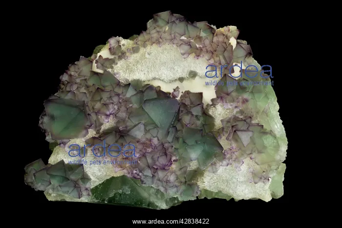 : Fluorite (CaF2-calcium fluoride) - Mineral class: Halides : Fluorite (CaF2-calcium fluoride) - Mineral class: Halides