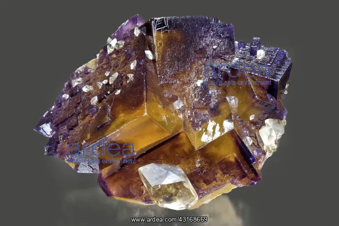 : Fluorite with Calcite : Fluorite with Calcite