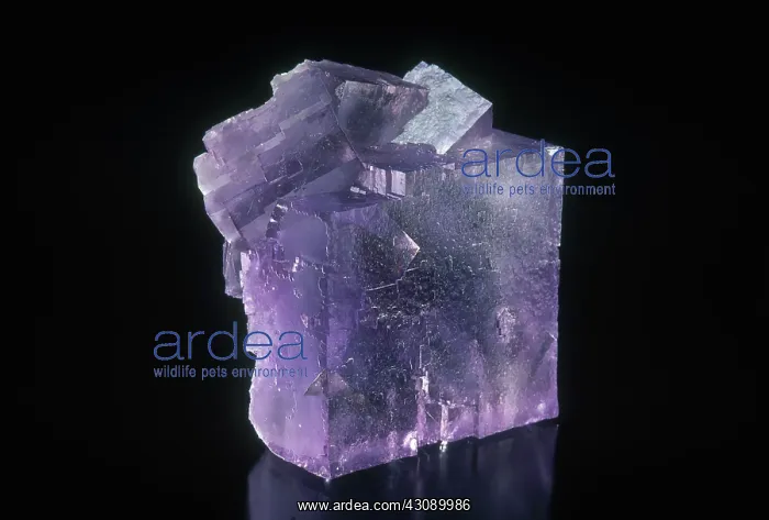 : Fluorite Crystal : Fluorite Crystal