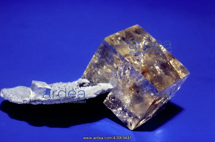 : Fluorite from Ft. Wayne, Indiana : Fluorite from Ft. Wayne, Indiana