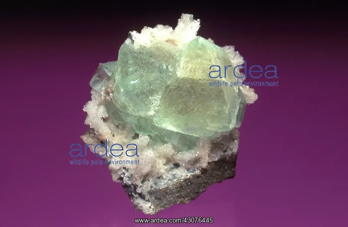 : Fluorite and Quartz : Fluorite and Quartz