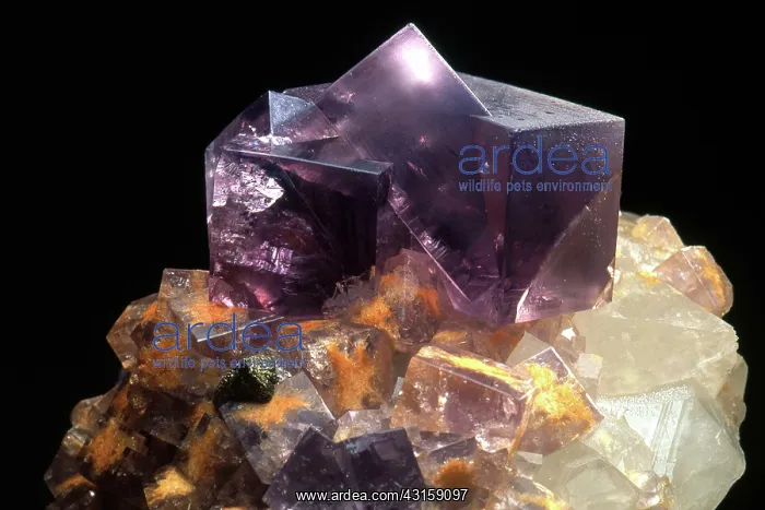 : Fluorite on Quartz : Fluorite on Quartz