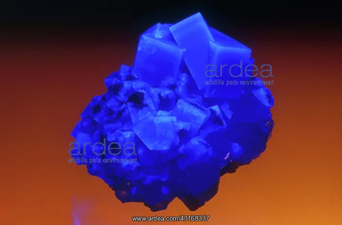: Fluorite in UV Light : Fluorite in UV Light
