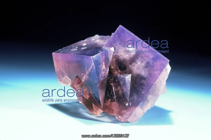 : Fluorite from Weardale, England : Fluorite from Weardale, England