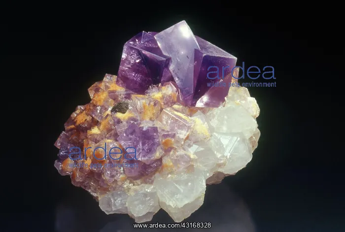 : Fluorite in White Light : Fluorite in White Light