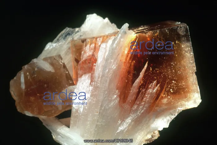 : Fluorite in White Light : Fluorite in White Light