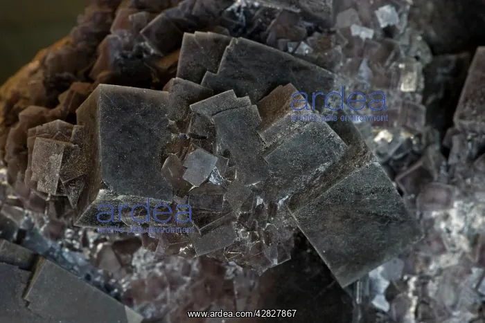 : Fluorite - Xianghua Ling Mine - China